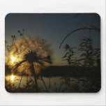 Dandelion mousepad