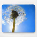 Dandelion Mousepad