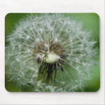 Dandelion Mousepad