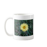 Dandelion mugs
