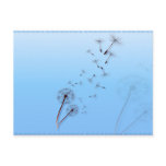 Dandelion on Baby Blue Postcards