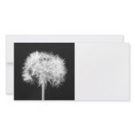 Dandelion Photo Card photo cards