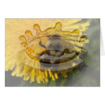 Dandelion Pollenator; Customisable Card