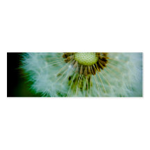 Dandelion Profile Card Business Cards