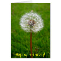 Dandelion Puff, Happy Birthday! Greeting Cards