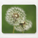 Dandelion Puff mousepads