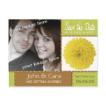 Dandelion Save the Date Postcard