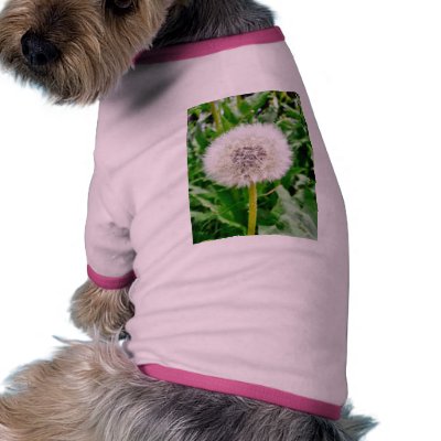 Dandelion Seed Pet Tshirt by lifesphere