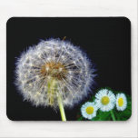 Dandelion seed head and flowers mouse pad