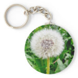 Dandelion Seed keychains