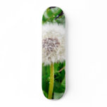 Dandelion Seed skateboards