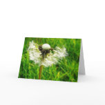 Dandelion Seeds and Bright Green Grass
