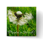 Dandelion Seeds