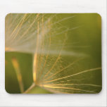 Dandelion seeds macrophotography mouse pad