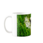Dandelion Seeds mugs