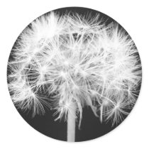 Dandelion Sticker