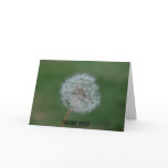 Dandelion Thank You Crd cards