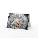 Dandelion Whisps Greeting Card