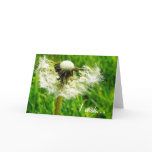 Dandelion Wishes - I wish...