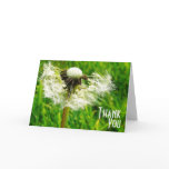 Dandelion Wishes - Thank You for being my wish
