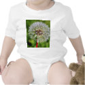 Dandelions 3 t-shirts