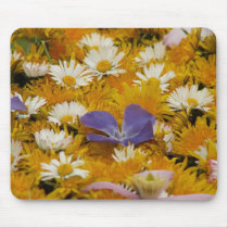 dandelions etc mousemats