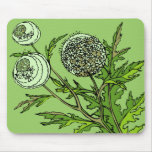 Dandelions mousepads