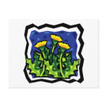 Dandelions postcards