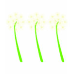Dandelions T shirt