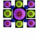 Dandelions. t-shirts