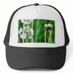 Dandelions White In Green Grass Mesh Hat