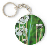 Dandelions White In Green Grass Keychain
