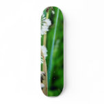 Dandelions White In Green Grass Skate Board Decks