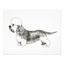 Dandie Dinmont Terrier Custom Invite