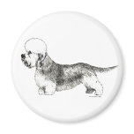 Dandie Dinmont Terrier Magnets