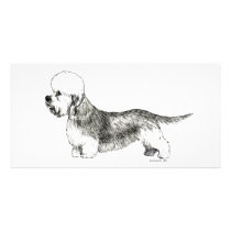 Dandie Dinmont Terrier Personalized Photo Card