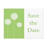 Dandilion green save the date postcards