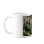 Dandilion mugs