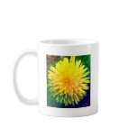 Dandilion mugs
