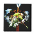 "Dandy" Fridge Magnet