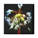 "Dandy" Fridge Magnet