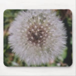 DANDY   LION mousepads