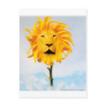 dandy lion (R.O.A.R) Shirt postcards