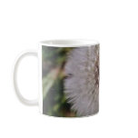 DANDY mugs