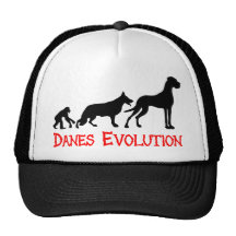 Danes Evolution Hats