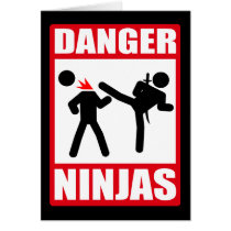 Danger Ninjas