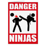Danger Ninjas Greeting Card