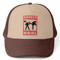 Danger Ninjas