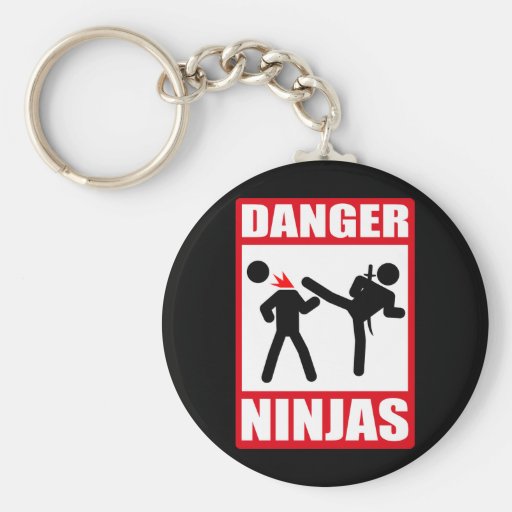 Danger Ninjas Key Chains