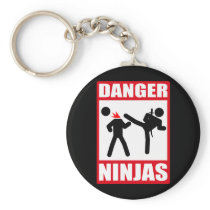 Danger Ninjas